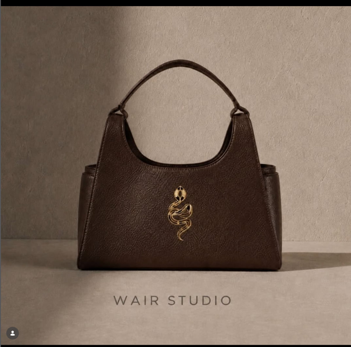 A dark brown pebbled leather top-handle bag with a polished brass serpent emblem applied to the front panel, photographed against a warm-toned wall.